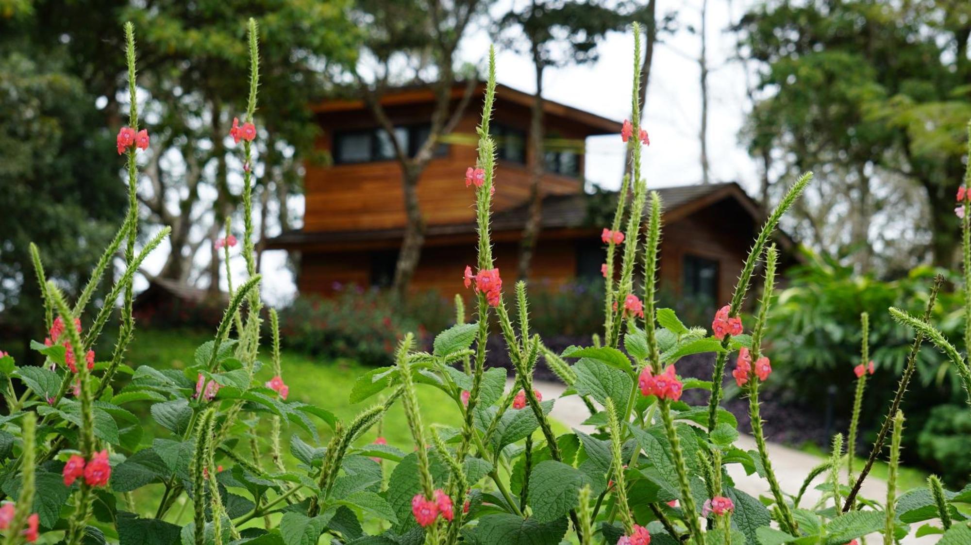 Lucero Golf And Country Club Tree Chalet Boquete